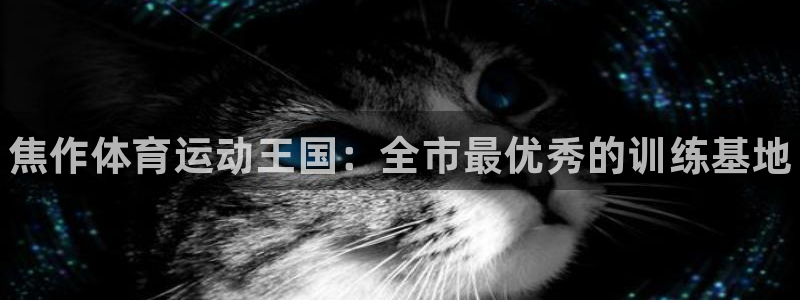 JJB竞技宝官方正版app娱乐平台：焦作体育运动王国