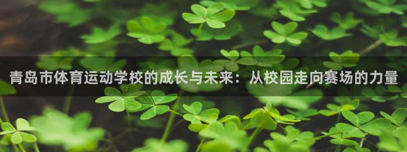 JJB竞技宝官方正版app娱乐平台：青岛市体育运动学