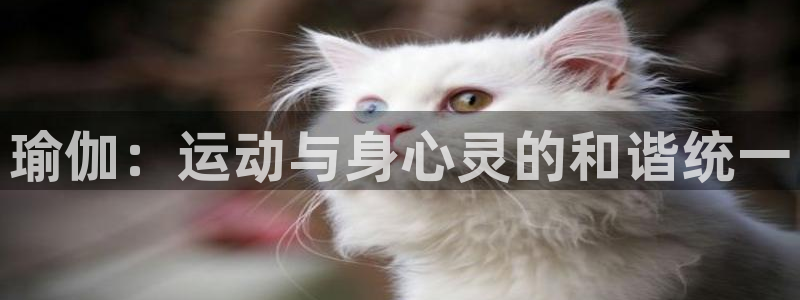 JJB竞技宝官方正版app娱乐代理怎么样：瑜伽：运动与身心灵