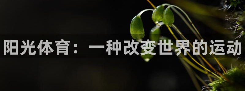 JJB竞技宝官网下载平台
