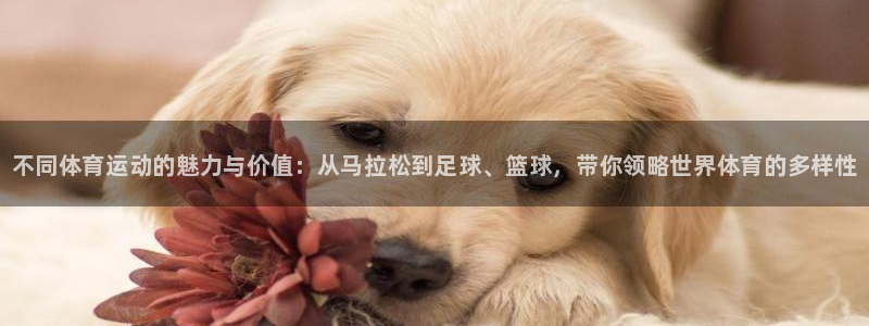 JJB竞技宝官网下载平台注册流程视频：不同体育运动的