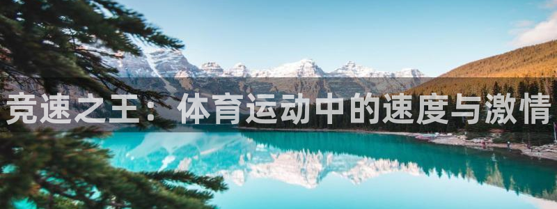 JJB竞技宝官网下载注册：竞速之王：体育运动中的速度与激情