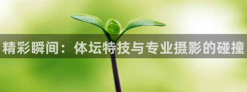 JJB竞技宝官网下载软件：精彩瞬间：体坛特技与专业摄
