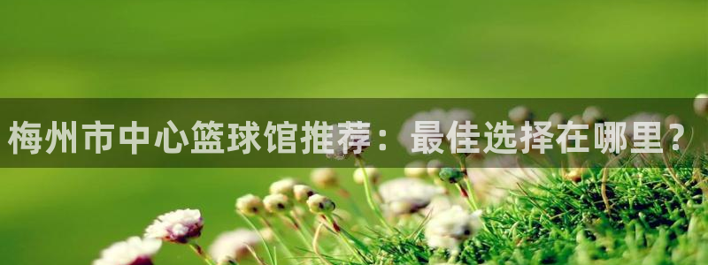 JJB竞技宝官方集团官网：梅州市中心篮球馆推荐：最佳
