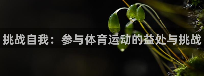 JJB竞技宝官网下载平台