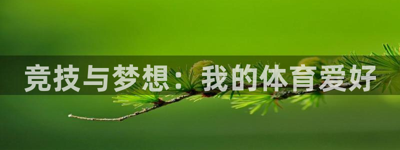 JJB竞技宝官网下载招商电话号码：竞技与梦想：我的体