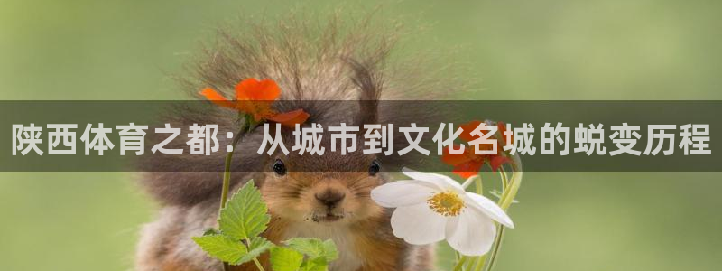 JJB竞技宝官网下载是干嘛的公司：陕西体育之都：从城市到文化