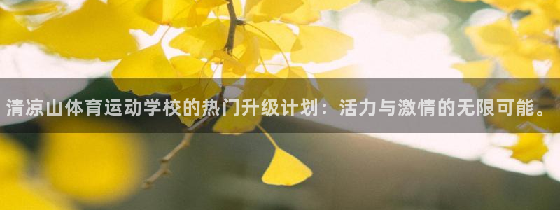 JJB竞技宝官方正版app代理：清凉山体育运动学校的