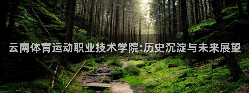 JJB竞技宝官网下载招商电话
