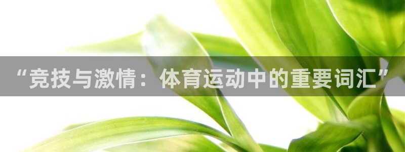 JJB竞技宝官方正版app集团官网首页网址：“竞技与激情：体