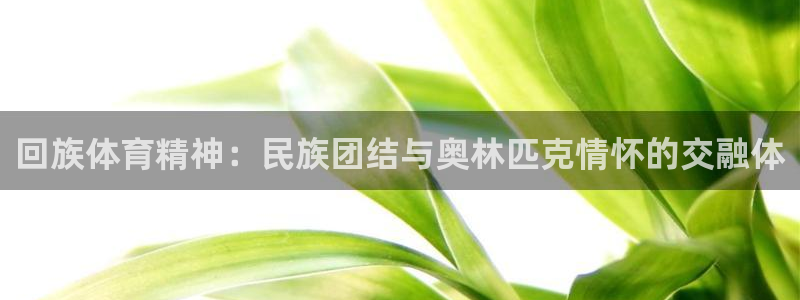 JJB竞技宝官方正版app集团官网首页网址：回族体育精神：民