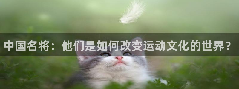  竞技宝是黑网吗：中国名将：他们是如何改变运动文化的世界？
