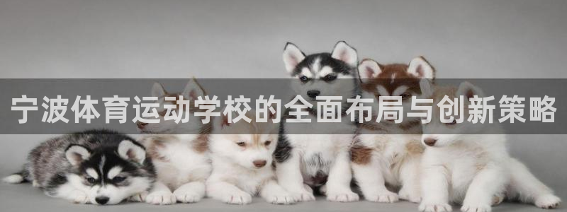 竞技宝官网链接：宁波体育运动学校的全面布局与创新策略