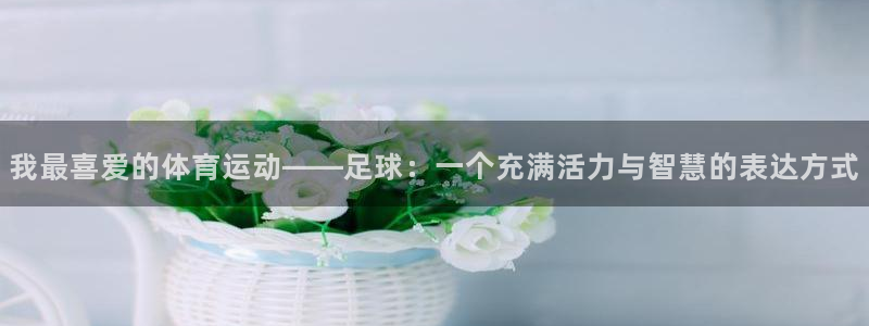 竞技宝 app靠谱吗：我最喜爱的体育运动——足球：一个充满活