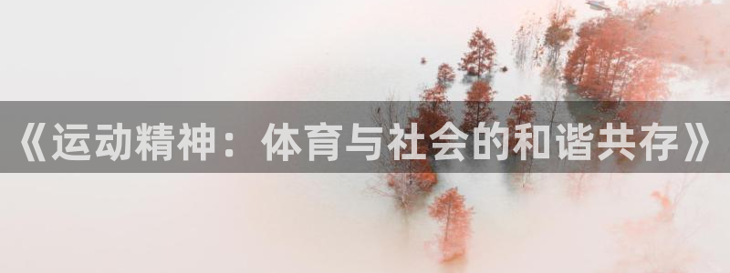 竞技宝测速入口：《运动精神：体育与社会的和谐共存》
