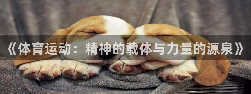  竞技宝门户网站怎么进：《体育运动：精神的载体与力量的源泉》