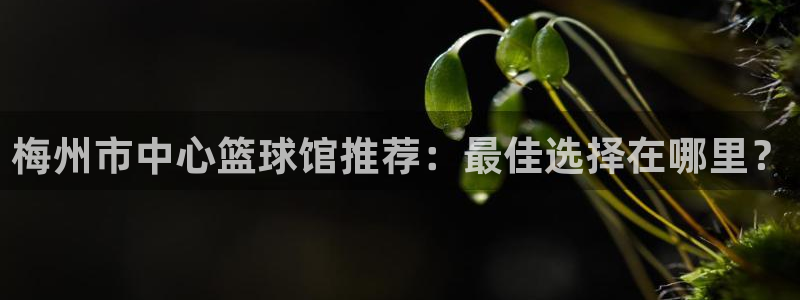  竞技宝可靠吗：梅州市中心篮球馆推荐：最佳选择在哪里？