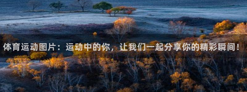 JJB竞技宝官方正版app新能源：体育运动图片：运动